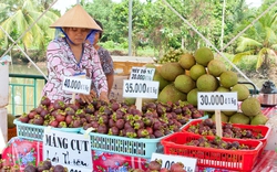 Bình Dương tiếp tục chính sách hỗ trợ vườn cây ăn trái đặc sản, Nhà nước và người dân cùng làm
