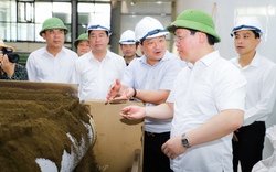 Làm việc tại loạt dự án nông, lâm nghiệp, Chủ tịch UBND tỉnh Nghệ An yêu cầu liên kết chặt với nông dân