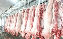 Không xuất lậu được lợn sống, có tình trạng xẻ thịt thành mảnh nhỏ chở sang Trung Quốc