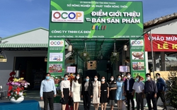 Bình Thuận: Đã có 70 sản phẩm OCOP, đủ thứ sản phẩm trên rừng dưới biển
