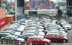 Nửa đầu tháng 8, xe ô tô nguyên chiếc nhập khẩu về Việt Nam tăng vọt