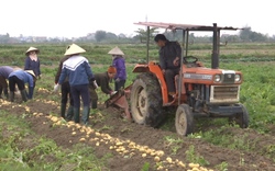 Cơ giới hóa đồng bộ - nông dân nhàn hơn, giàu hơn: Khâu thu hoạch cà phê chỉ được... 0% (Bài 3)