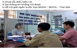 TP.HCM: Giả mạo BHXH lừa tiền qua Zalo, Viber, Facebook