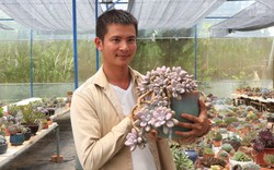 Trai phường 9X ở Đà Lạt trồng 500 loại sen đá, bán khắp cả nước, bỏ túi hơn 500 triệu đồng