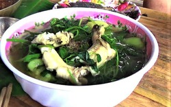 Nhớ hoài cá bống nấu canh tập tàng