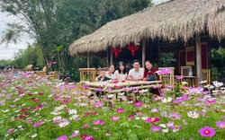 Quang Nam: Phát triển du lịch nông thôn, cộng đồng cần thuê tư vấn xây dựng dự án