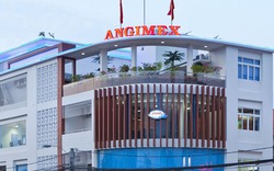 Angimex (AGM) tăng tỷ lệ sở hữu tại công ty con khi nhận chuyển nhượng 19% vốn từ Louis Capital 