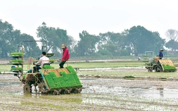 Cơ giới hóa đồng bộ, nông dân nhàn hơn, giàu hơn: Hoá giải "lời nguyền" đồng ruộng manh mún (Bài cuối)