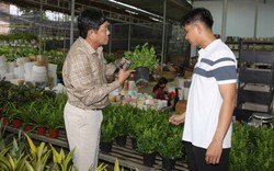 Đi lên từ hai bàn tay trắng, ông Út Danh ở Long Khánh có doanh thu tiền tỷ từ trồng cây kiểng