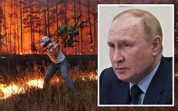 Tổng thống Putin thừa nhận Nga đang đối mặt với hiểm họa lớn từ cháy rừng