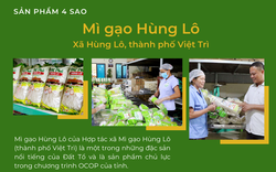 Phú Thọ làm gì để lan tỏa, nâng tầm sản phẩm OCOP?