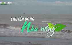 Chuyển động Nhà nông 25/8: Bão Maon áp sát đất liền, sẵn sàng sơ tán 135.000 dân miền núi phía Bắc