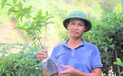 Tỷ phú ươm giống cây ăn quả ở Hà Tĩnh trở thành Nông dân Việt Nam xuất sắc 2022