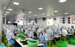 Hai sản phẩm của doanh nghiệp tỉnh Khánh Hòa đạt chứng nhận OCOP 4 sao