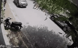 Clip NÓNG 24h: Khoảnh khắc ô tô đang chạy bị cây xanh đổ trúng giữa phố Hà Nội