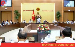 Chủ tịch Quốc hội yêu cầu tích cực, khẩn trương giải ngân gói phục hồi phát triển kinh tế