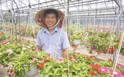 Hơn 10 năm trồng hoa treo chậu mini, một nông dân Đà Nẵng trở thành Nông dân Việt Nam xuất sắc 2022