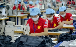 Sau 2 năm thực thi EVFTA, xuất khẩu Việt Nam được gì?