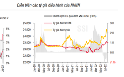 SSI Research: Tăng trưởng tín dụng 2022 ước tính dao động từ 15-16%