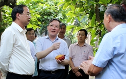 Chủ tịch Trung ương Hội Nông dân Việt Nam: Nông dân Việt Nam xuất sắc là thành tố quan trọng thúc đẩy liên kết