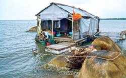 Một người đàn ông Cà Mau ra biển sống cô đơn quanh hòn đá, khiến ai thấy cũng tò mò