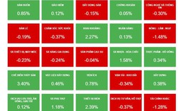 VN-Index tiếp tục tăng điểm, cổ phiếu thủy sản bứt phá "tím lịm"