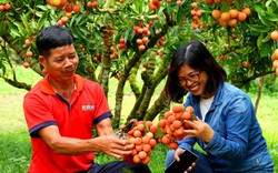 Du lịch nông thôn Việt Nam (Bài 1): Vừng ơi mở cửa ra!