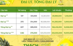 Lật tẩy thủ đoạn lôi kéo người vào hệ thống kinh doanh thực phẩm thường Matxi Corp 