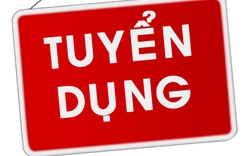 THÔNG BÁO TUYẾN DỤNG