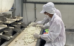 Đồng Nai: Xuất khẩu trứng cút tươi đạt OCOP 4 sao vào Nhật Bản