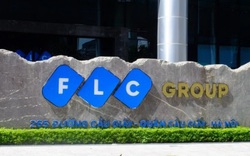 Cổ phiếu FLC bị đình chỉ giao dịch từ 9/9