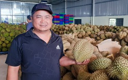Đông cứng loại "trái cây vua", mỗi tuần ông chủ vựa xuất khẩu hàng chục tấn sang Trung Quốc, Úc
