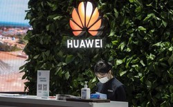 Mỹ nới lỏng các biện pháp kiềm chế với gã khổng lồ công nghệ Trung Quốc Huawei