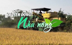 Chuyển động Nhà nông 10/9: Ấn Độ áp thuế xuất khẩu gạo, khách hàng sẽ tìm đến Việt Nam và Thái Lan