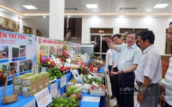 Nông dân sản xuất, kinh doanh giỏi là "cánh chim đầu đàn" trong sản xuất nông nghiệp, xây dựng nông thôn mới