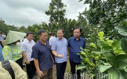 Bộ trưởng Lê Minh Hoan: Đề nghị tỉnh Hoà Bình chọn 1 xã để hỗ trợ làm nông thôn mới kiểu mẫu
