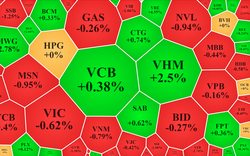 Dòng tiền sụt mạnh, VN-Index suýt đỏ