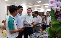 Hội nghị biểu dương nông dân sản xuất kinh doanh giỏi toàn quốc lần thứ VI diễn ra hôm nay, tại thủ đô Hà Nội