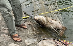 Câu cá có thưởng trái phép ở hồ công ích: Cần làm rõ chức năng và trách nhiệm của đơn vị quản lý