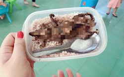 Xôn xao vụ học sinh ăn thịt chuột ở Quảng Nam: Hình ảnh chụp 3 năm trước tại lễ hội ẩm thực truyền thống