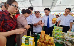 Phó Chủ tịch Hội Nông dân Việt Nam Đinh Khắc Đính khai mạc hội chợ nông sản ở Quảng Nam