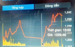 VN-Index biến động như tàu lượn, nhà đầu tư không tin nổi mắt mình!