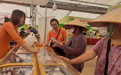  Hội chợ  Nông nghiệp Quốc tế lần thứ 22 - AgroViet 2022