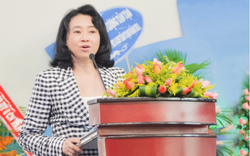 Tân Tạo công bố báo cáo tài chính, giải trình khoản tiền ủy thác cho bà Đặng Thị Hoàng Yến