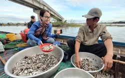 Nhộn nhịp phiên chợ đặc biệt giữa đồng nước nổi nơi đầu nguồn biên giới An Giang