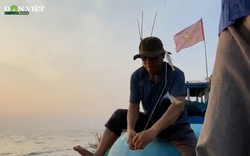 Clip: Đã mắt cảnh câu cá dính chùm tại nơi thả chà trên biển Quảng Ngãi