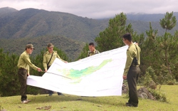 Tăng cường quản lý, bảo vệ rừng và đa dạng sinh học ở Sơn La