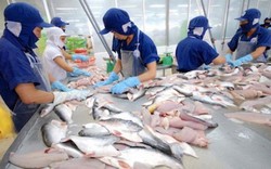 Hoa Kỳ giữ nguyên mức thuế chống phá giá với cá tra, basa từ Việt Nam