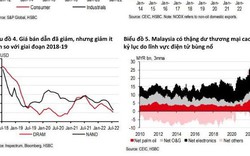 HSBC: "Miễn dịch" trước khó khăn, kinh tế Việt Nam và ASEAN vẫn tăng trưởng ngạc nhiên