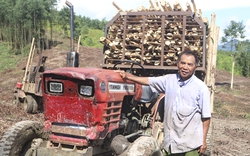 Giá keo tăng liên tục lên 1,4 triệu đồng/tấn, ông nông dân Khánh Hòa bán 20ha, tậu luôn xe công công mới 